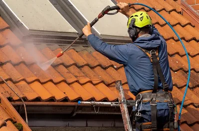 Démoussage et hydrofuge de toiture à Ri